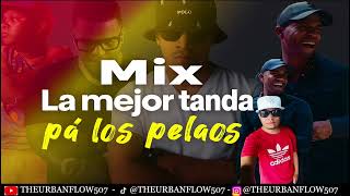Mix la mejor tanda pa los pelaos vol.4 Agosto 2025